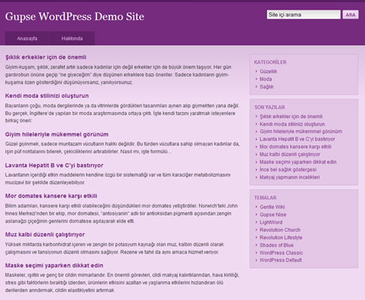WordPress Gentle Wiki teması